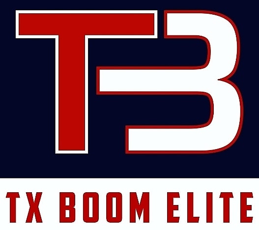 TBE logo original